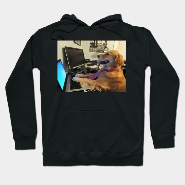 I Have No Idea What I'm Doing Dog Hoodie by FlashmanBiscuit